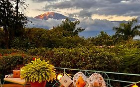 Pink Flamingo Boutique Hotel